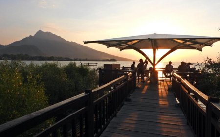 Kampung Blekok Situbondo, Surga Mangrove dan Ribuan Burung Blekok