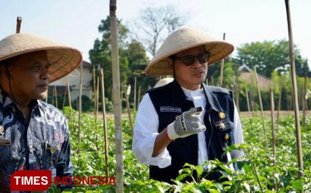 Transformasi Pertanian Modern, Petani Masa Kini Wajib Terapkan Smart Farming