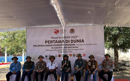 6 Ekor Komodo Hasil Breeding TSI, Smelting, dan KLHK RI Dilepasliarkan ke Cagar Alam Wae Wuul NTT