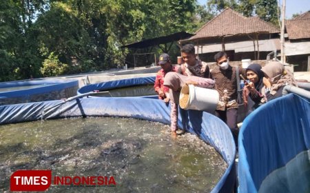 Pengurus Bumdes Desa Sumber Banteng Study Banding Budidaya Lele