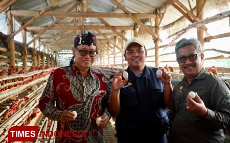 Lihat Ceruk Pasar, Petani Milenial Ini Tangkap Peluang Dari Ayam Arab