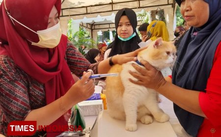 Animal Lovers Wajib Tahu! Begini Tips Jaga Kesehatan Anabul Ala Dokter Hewan Banyuwangi