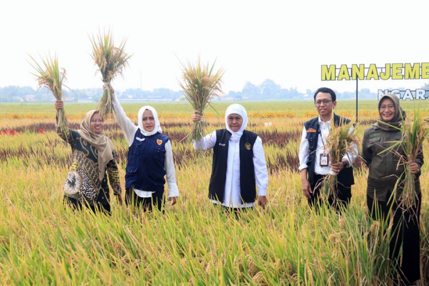 Gubernur Jatim Canangkan Desa Ngarjo Mojokerto sebagai Lokasi Manajemen Tanah Sehat