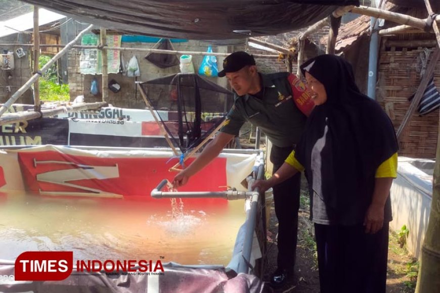 Babinsa 0814/15 Edukasi Masyarakat Jombang Budidaya Ikan Lele