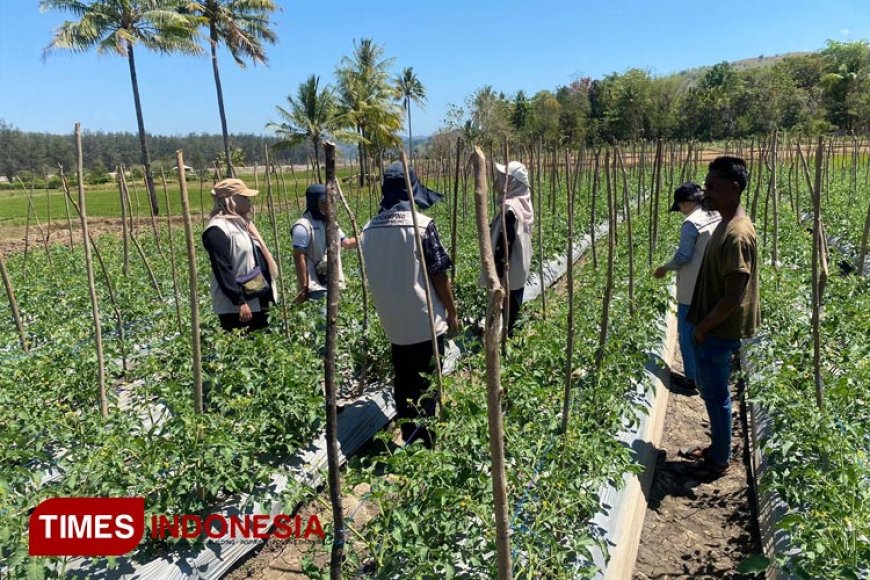 Perkuat Food Estate, Polbangtan Malang dan Kementan Bersinergi untuk Ketahanan Pangan