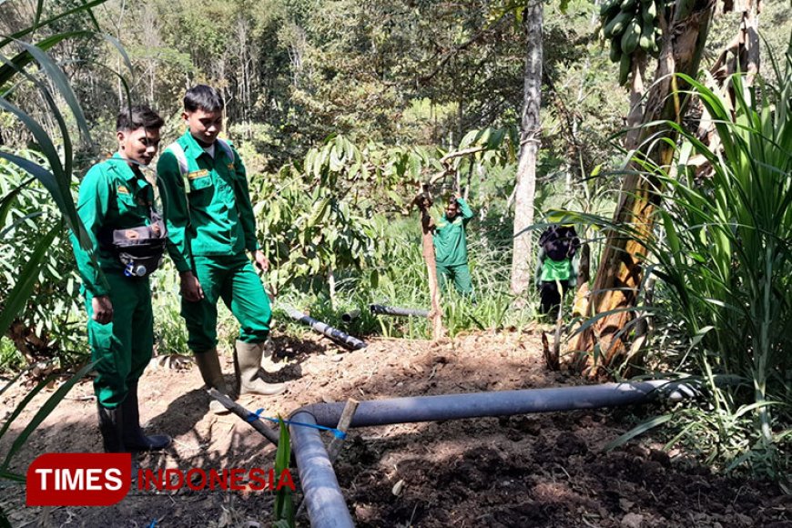 Mahasiswa Polbangtan Malang dan KUD Sumber Makmur Berkolaborasi Ciptakan Solusi Inovatif Pipanisasi untuk Pertanian Berkelanjutan