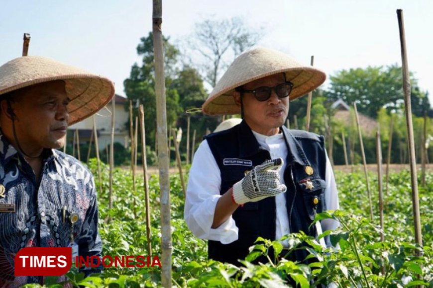 Transformasi Pertanian Modern, Petani Masa Kini Wajib Terapkan Smart Farming