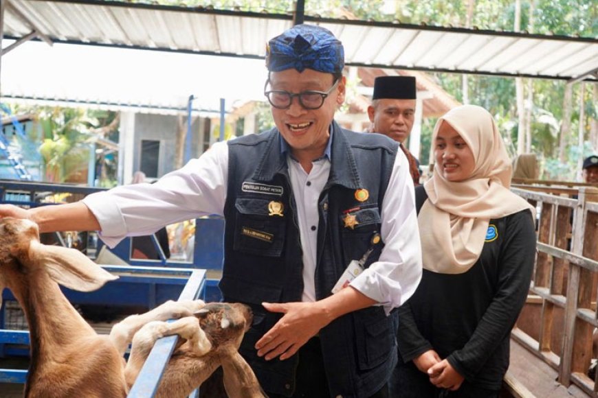 Diversifikasi Produk dan Olahan Kambing Jadi Bukti Keberhasilan P4S Lurisae Purworejo