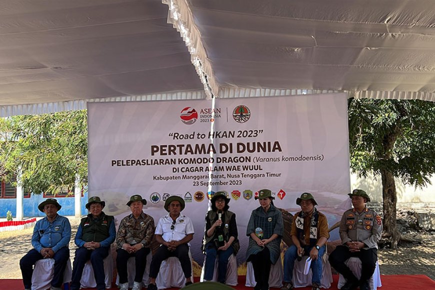 6 Ekor Komodo Hasil Breeding TSI, Smelting, dan KLHK RI Dilepasliarkan ke Cagar Alam Wae Wuul NTT