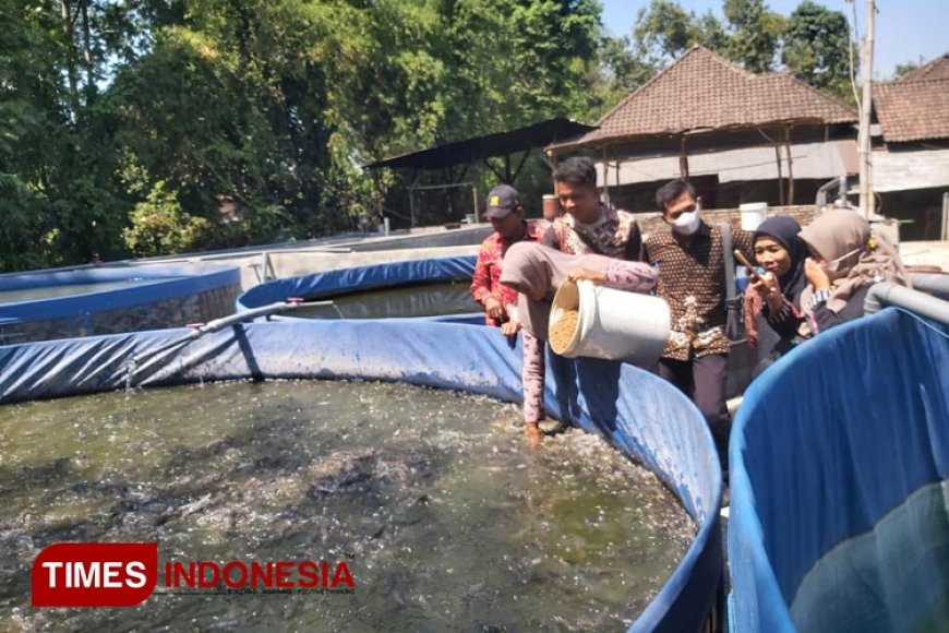 Pengurus Bumdes Desa Sumber Banteng Study Banding Budidaya Lele