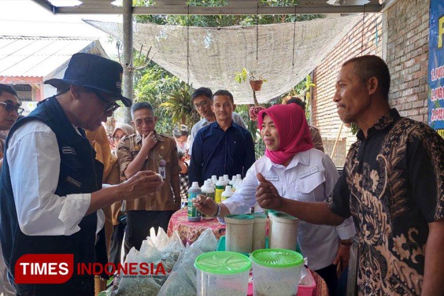 Inovasi Parasitoid P4S Tani Makmur, Mampu Selamatkan 12 Juta Ton Beras per Musim