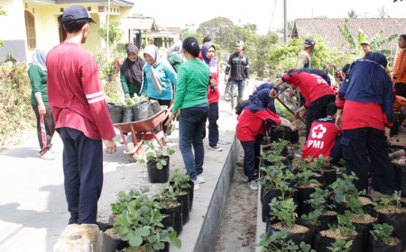 Cegah Stunting dan Peningkatan Mutu Gizi dengan Penanaman Toga Herbal