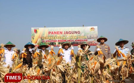 Kodim 0814 Jombang Gelar Panen Raya Jagung