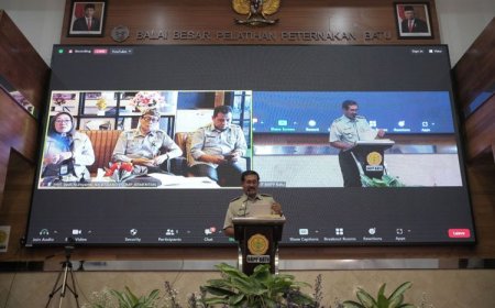 Kementan Latih Petani dan Penyuluh Negara Kepulauan Solomon Budidaya Ayam Broiler