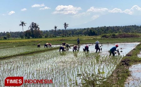 DPRD Banyuwangi Usulkan Pembuatan Sumur Bor di Lahan Pertanian