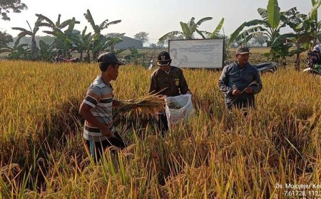 Farm Field Day Genta Organik Kabupaten Jombang