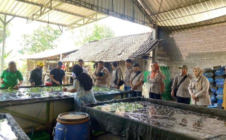 Kementan Fasilitasi Studi Tiru Korporasi Disbun Provinsi Kaltim ke Blitar dan Malang