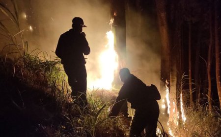 Polres Malang Bareng Satgas Karhutla Padamkan Kebakaran Hutan di Jabung 