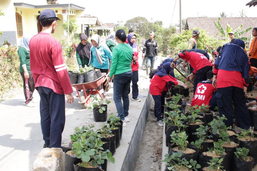 Cegah Stunting dan Peningkatan Mutu Gizi dengan Penanaman Toga Herbal