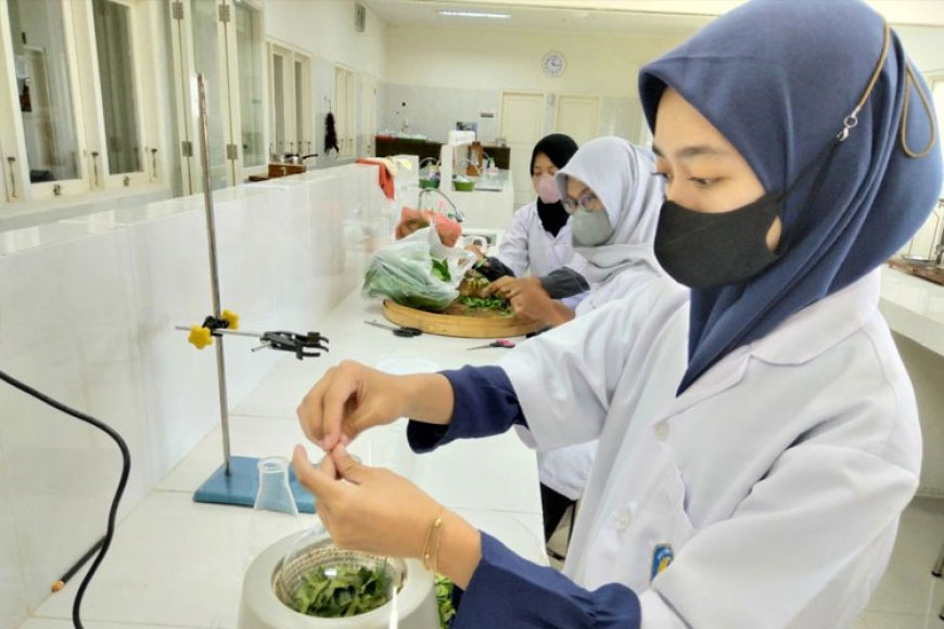 Mahasiswa PKM&#45;RE UNIPMA Ciptakan Health Lotion dari Ekstrak Daun Salam dan Bunga Telang