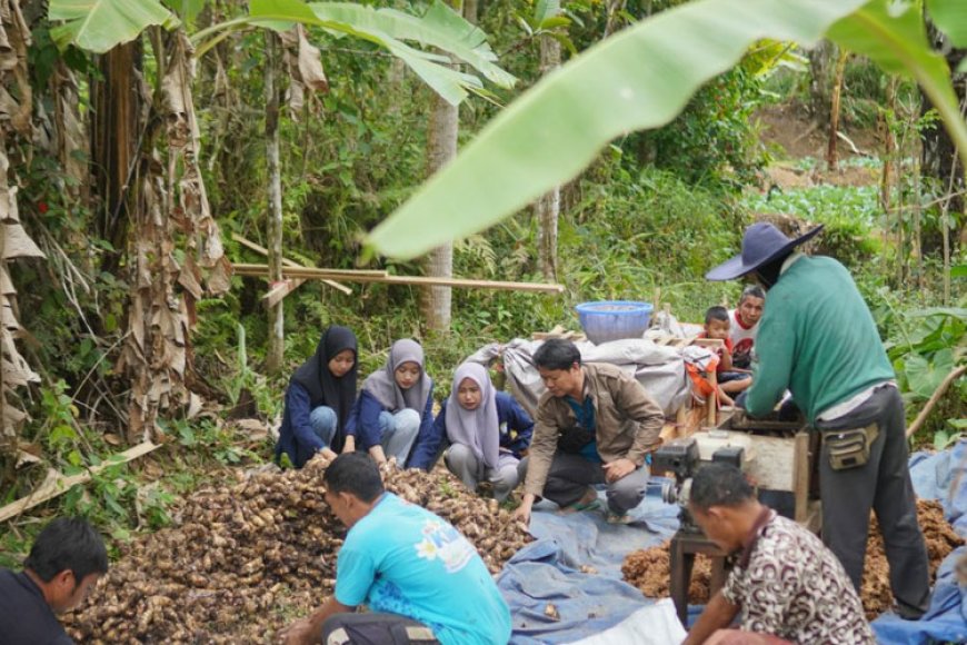 Perkuat Ketahanan Pangan, Dosen Unuja Probolinggo Advokasi Warga di Kaki Gunung Argopuro