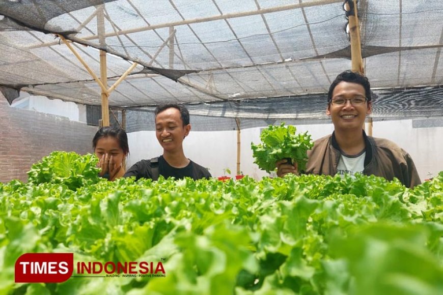 Menilik Ladang Cuan Petani Milenial di Kabupaten Banyuwangi