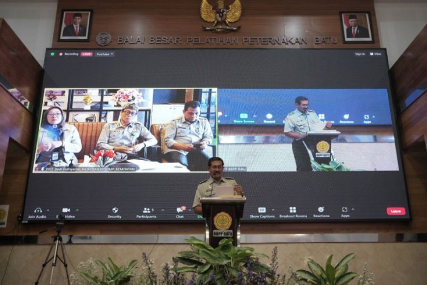 Kementan Latih Petani dan Penyuluh Negara Kepulauan Solomon Budidaya Ayam Broiler