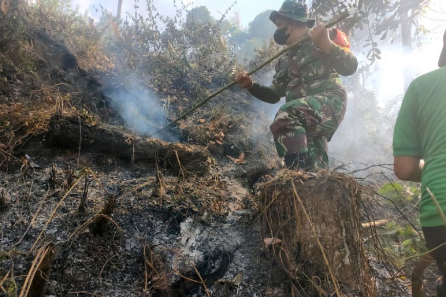 Gerak Cepat Babinsa Kalibaru Padamkan Kebakaran Lahan PTPN XII Kebun Jatirono