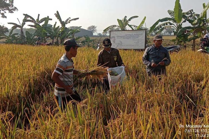 Farm Field Day Genta Organik Kabupaten Jombang