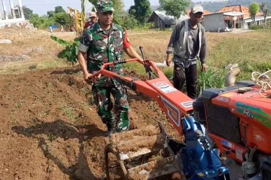 Babinsa Koramil 0826&#45;11 Batumarmar Bantu Bajak Sawah Milik Warga Binaan