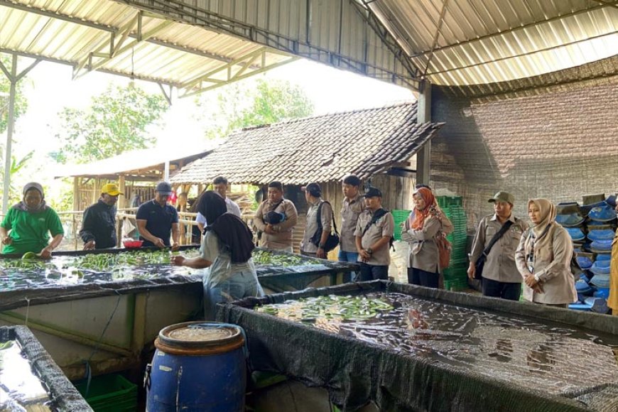 Kementan Fasilitasi Studi Tiru Korporasi Disbun Provinsi Kaltim ke Blitar dan Malang