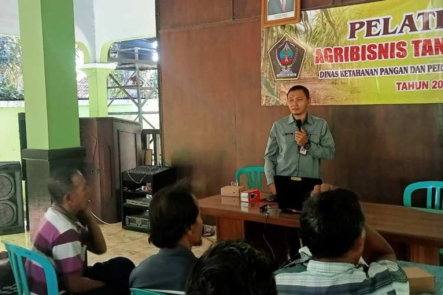 BBPP Ketindan Turut Sukseskan Program Swasembada Gula melalui Pelatihan Petani Tebu