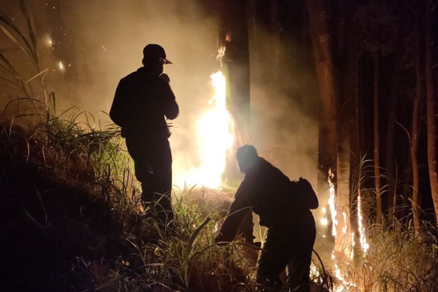Polres Malang Bareng Satgas Karhutla Padamkan Kebakaran Hutan di Jabung 