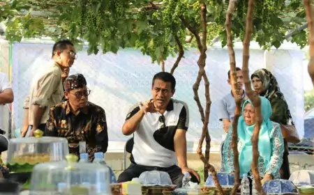 Mentan RI Amran Turun Tinjau Petani Anggur di Palu