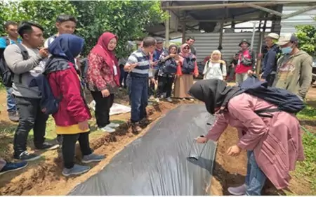 Kolaborasi UPT Kementan dan P4S JIFSI Cetak Petani Andal 