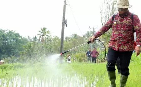 Serahkan Bantuan Pupuk, Pj Gubernur Bali Imbau Petani Tak Jual Lahannya