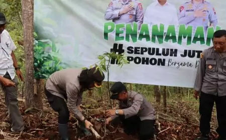 Sepuluh Juta Bibit Pohon Ditanam Serentak di Magelang