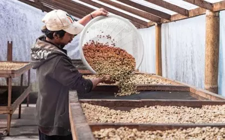 The Cold Crafters: Perusahaan Roastery Indonesia yang Diakui Dunia untuk Rasa dan Kualitas Kopi Terbaik