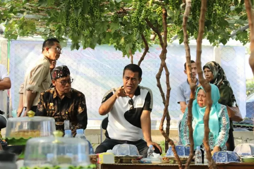 Mentan RI Amran Turun Tinjau Petani Anggur di Palu