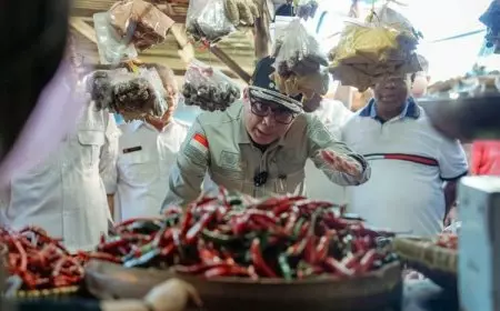 Wamentan Sidak Pasar di Manokwari Jelang Nataru, Minta Pemda Jaga Disparitas Harga Pangan