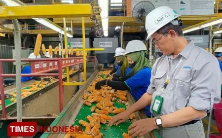 Tingkatkan Ketahanan Pangan, Syngenta Siapkan Benih Unggul Berkualitas