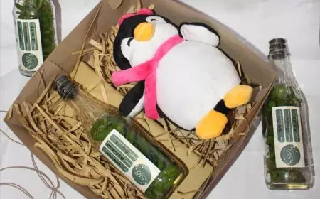 Inovasi Green to Feature, Mahasiswa Unisba Blitar Ciptakan Terobosan Anggrek Botol