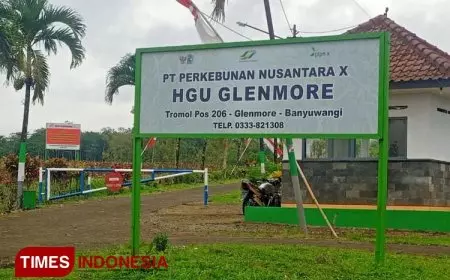 Regional 4 PTPN I Kelola Lahan Tebu di Glenmore Banyuwangi