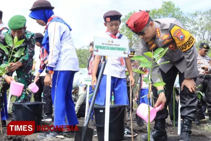 Ditanami Ribuan Mangrove, Wisata Pantai di Banyuwangi Makin Asri