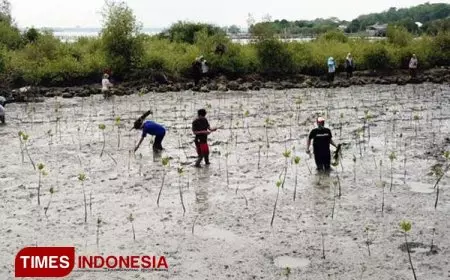 Tanam Mangrove di Mengare, Petrokimia Gresik Berkontribusi Jaga Ekosistem Laut