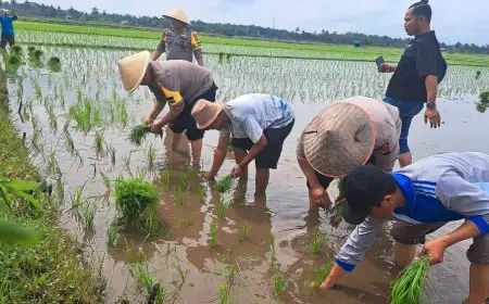 Kapolres Siak Turun ke Sawah Sambangi Petani Sampaikan Pesan Pemilu Damai