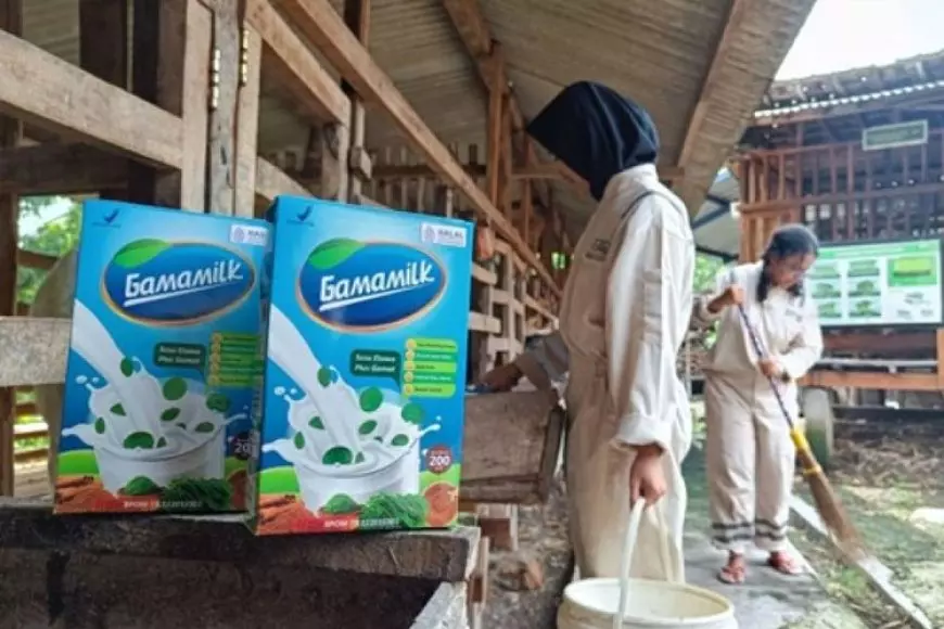 Manfaat Luar Biasa Susu Kambing Etawa dan Produk Olahannya GAMAMILK