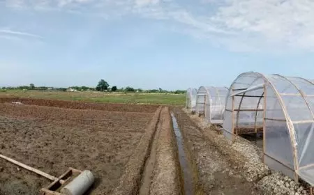 Dosen UB Bikin Inovasi Atasi Kelangkaan Garam