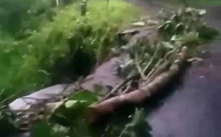 Jalur Rajekwesi di Malang Tertutup untuk Roda 4 Akibat Longsor, PU Bina Marga Respon Cepat