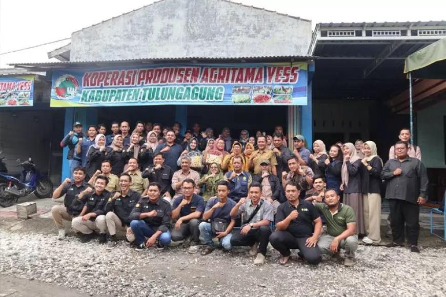 Kunjungi Petani Muda Tulungagung, BPPSDMP dan Polbangtan Malang Dorong Kolaborasi